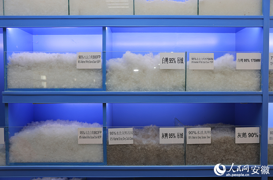 Lu'an in E China's Anhui cultivates down feather industry