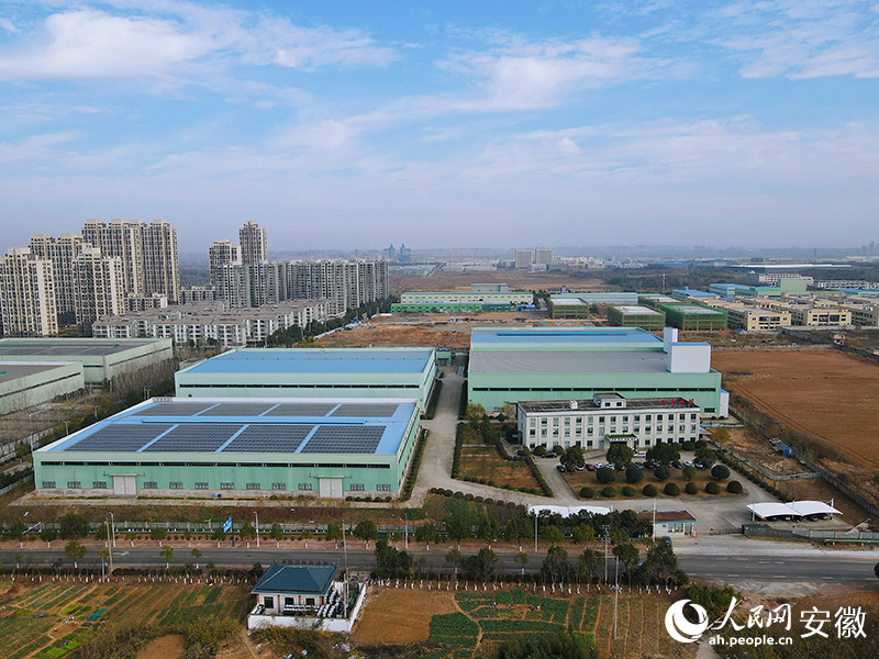 Lu'an in E China's Anhui cultivates down feather industry