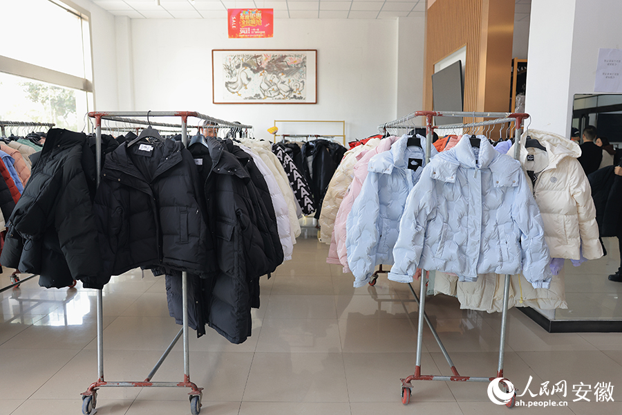 Lu'an in E China's Anhui cultivates down feather industry