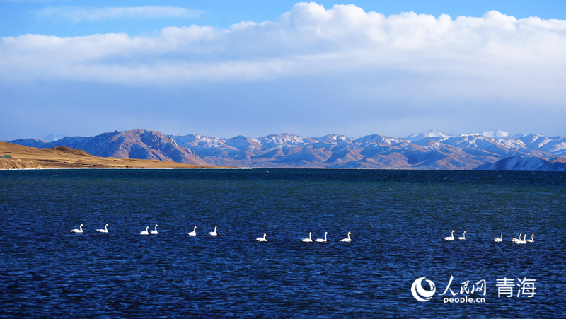 In pics: spectacular scenery of Donggi Cona Lake in NW China's Qinghai