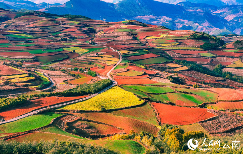 In pics: Colorful terraced fields in SW China's Yunnan resemble palette