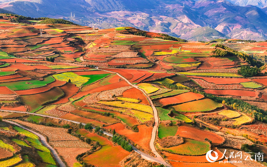 In pics: Colorful terraced fields in SW China's Yunnan resemble palette