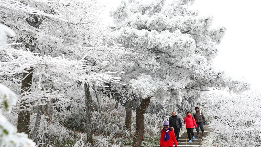 Aerial view of snowy Wudang Mountains