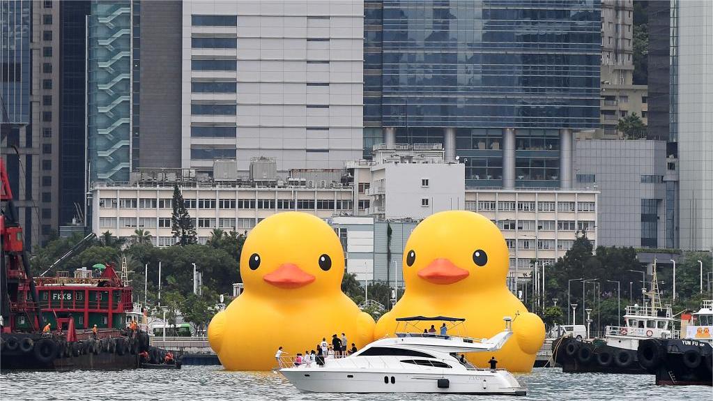Giant rubber duck lands in South China's Shenzhen