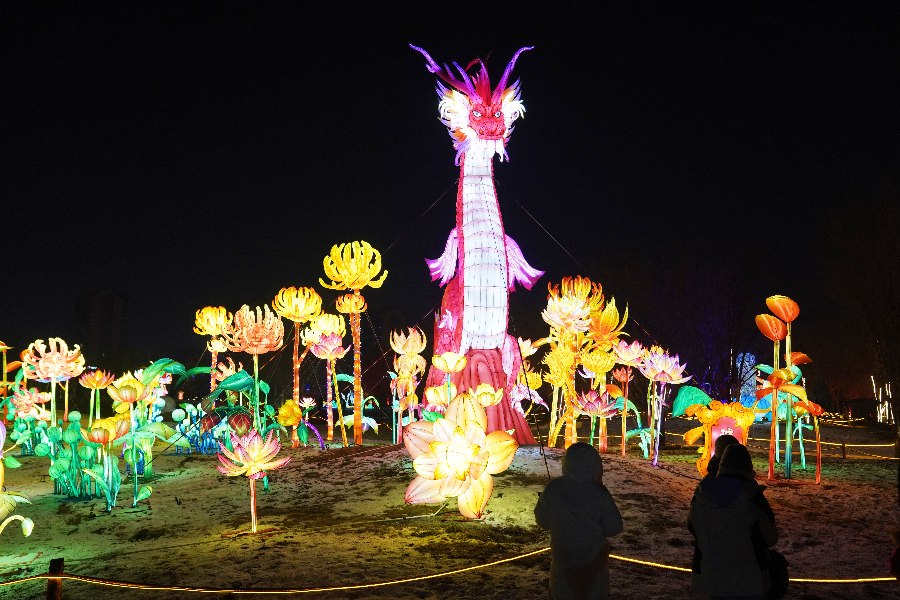 Beautiful lanterns light up Hohhot's winter nights