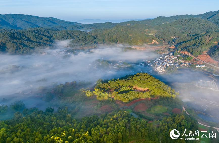 Stunning view of sea of clouds in Pu'er city, SW China's Yunnan
