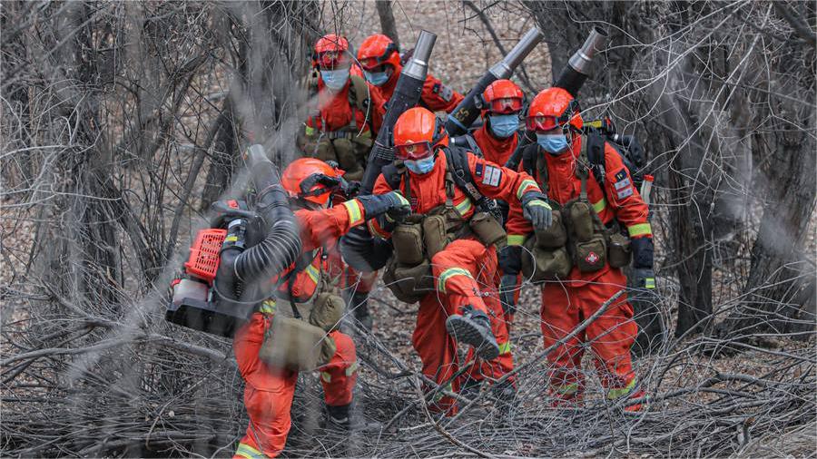 Woman surprises on-duty firefighters with drawing for New Year's Eve