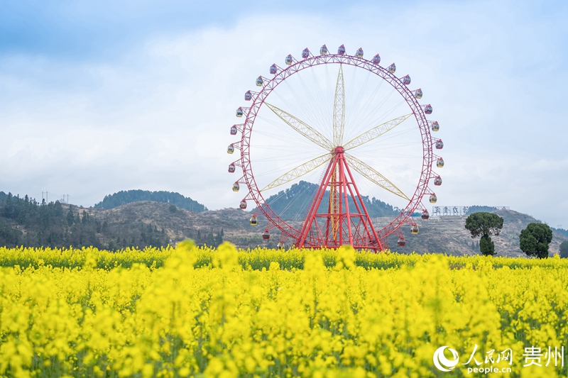 Splendid scenery of SW China's Guizhou in four seasons