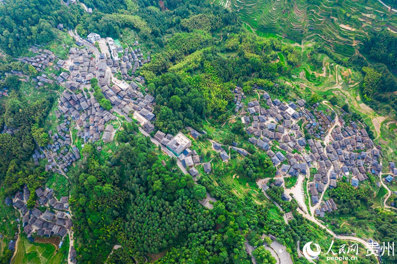 Splendid scenery of SW China's Guizhou in four seasons