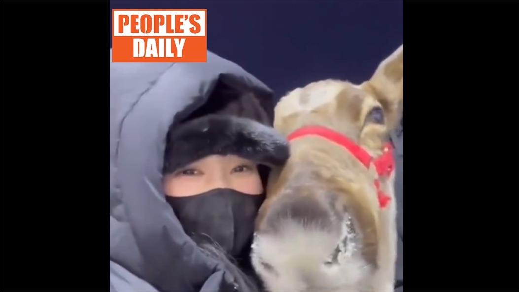 Heartwarming encounter: Reindeer delights young girl in Harbin's 'Ice City'