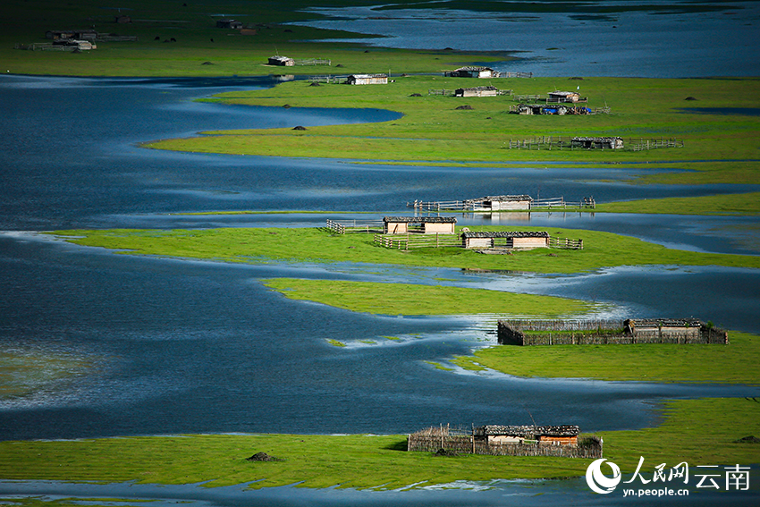 Winter int'l bird watching festival held in Shangri-La, SW China's Yunnan