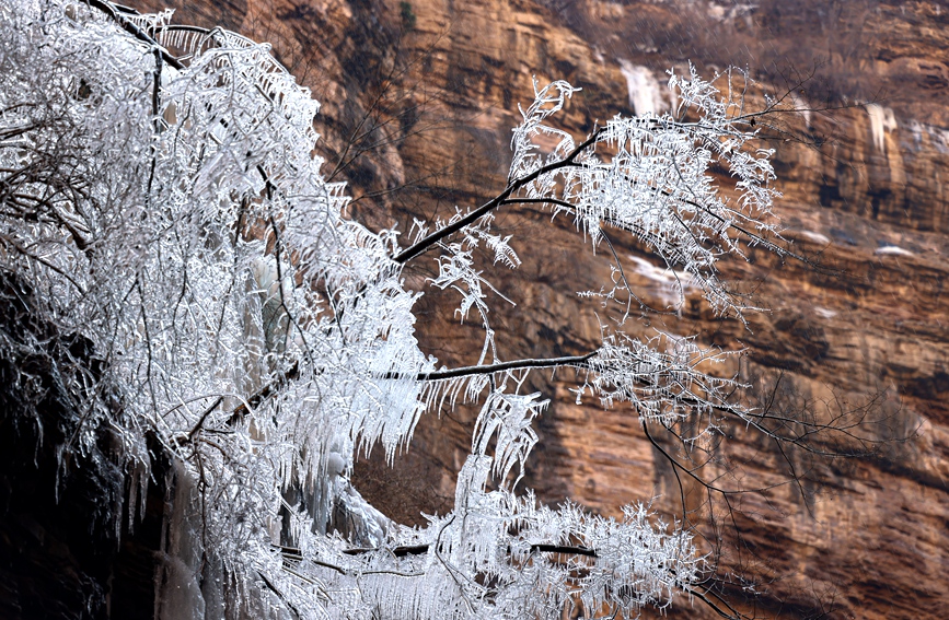 Picturesque winter scenery of Taihang Grand Canyon in Anyang, C China's Henan