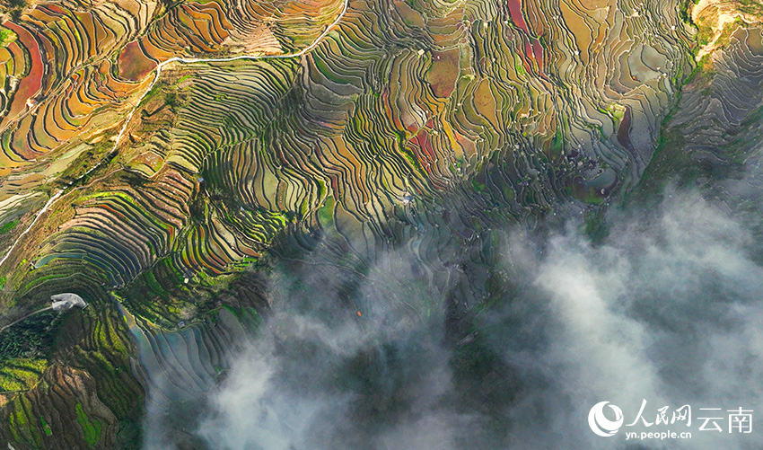 Picturesque misty scenery of Honghe Hani Rice Terraces in SW China's Yunnan