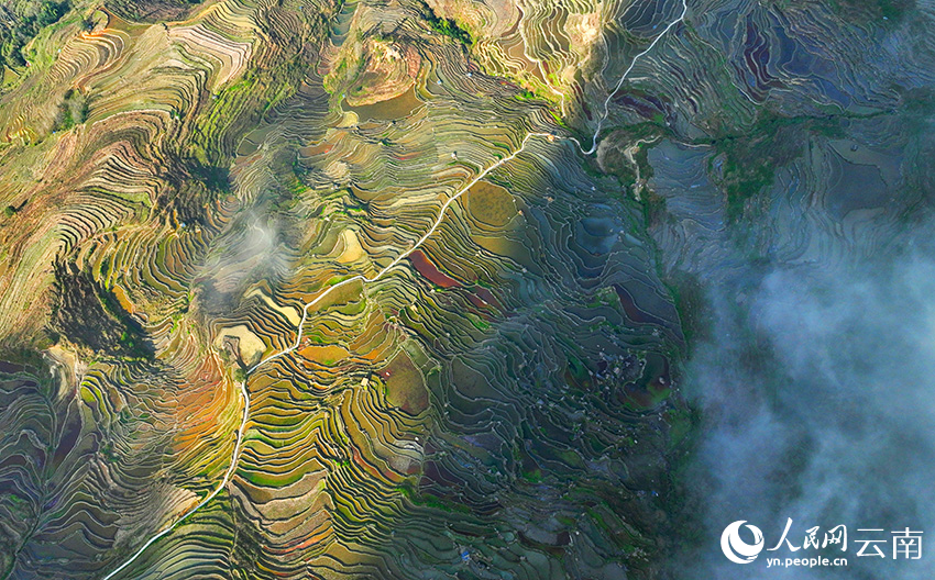 Picturesque misty scenery of Honghe Hani Rice Terraces in SW China's Yunnan