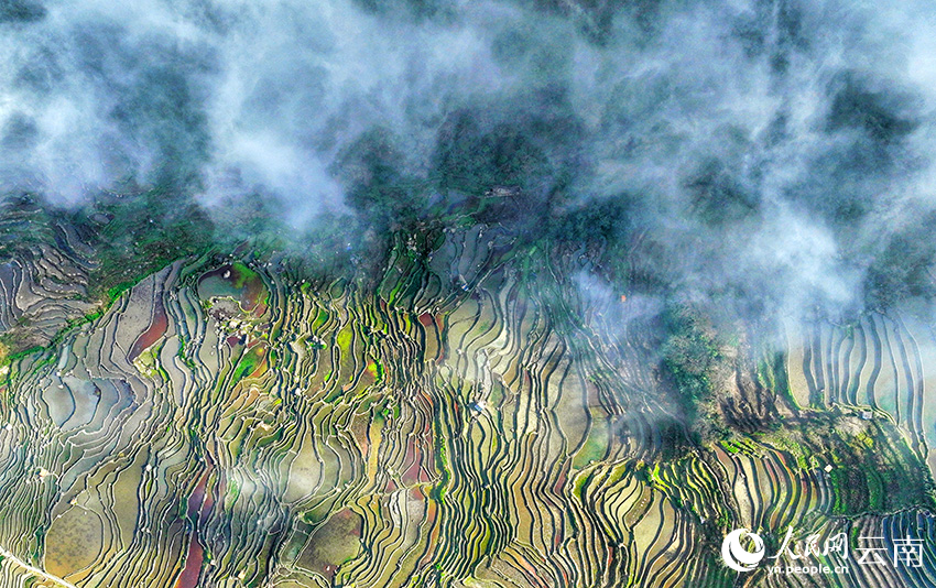 Picturesque misty scenery of Honghe Hani Rice Terraces in SW China's Yunnan