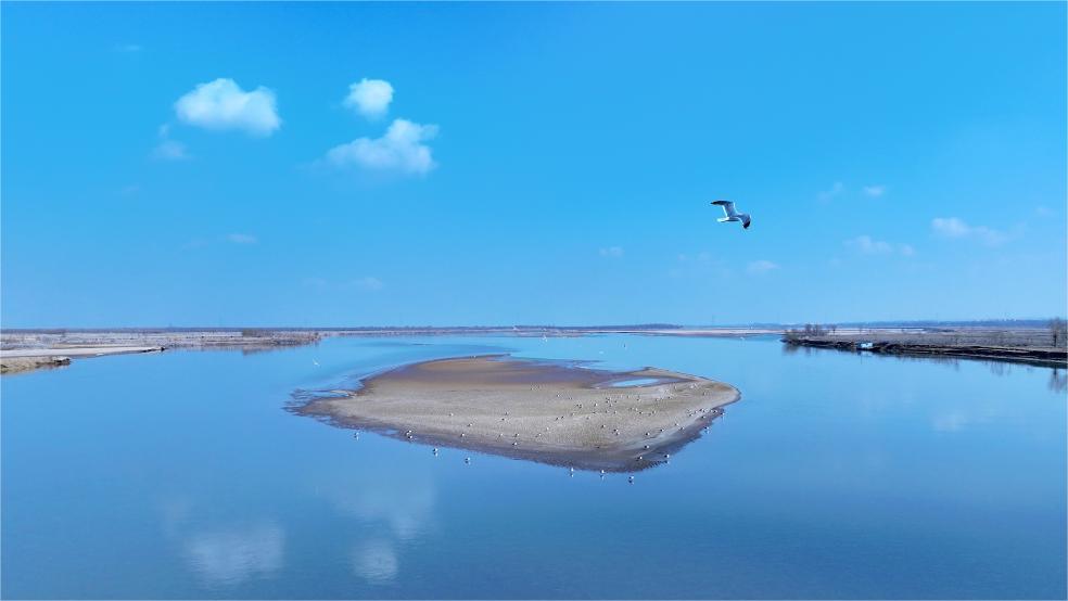 In pics: migratory birds flying over Yellow River in Ningxia