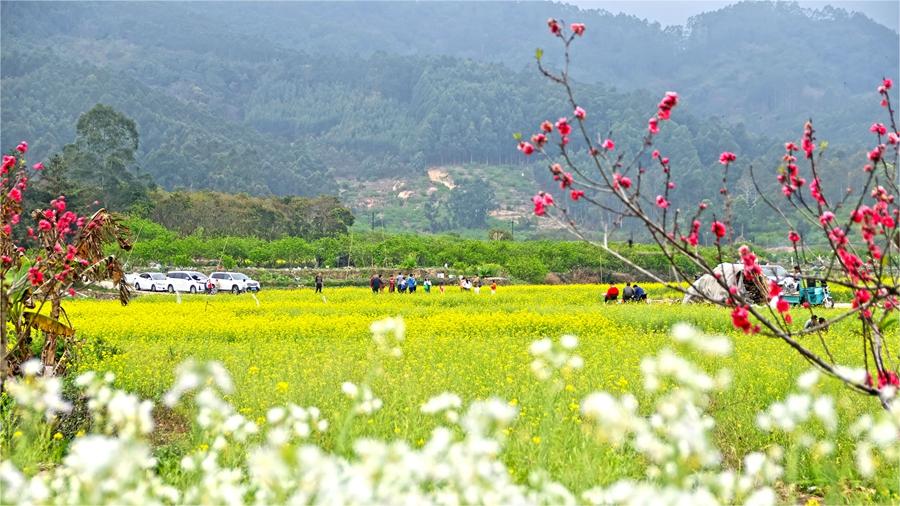 Spring has sprung across China