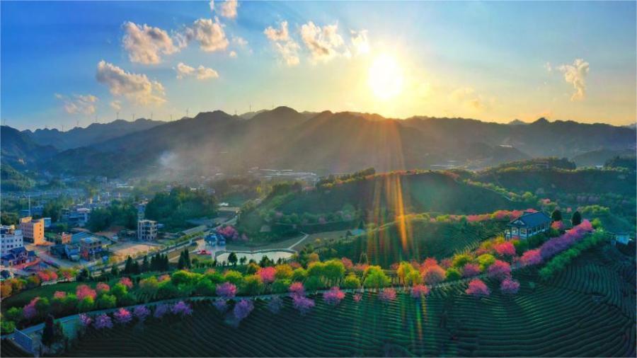 Trending in China｜The arrival of the Spring Equinox: One of the 24 solar terms