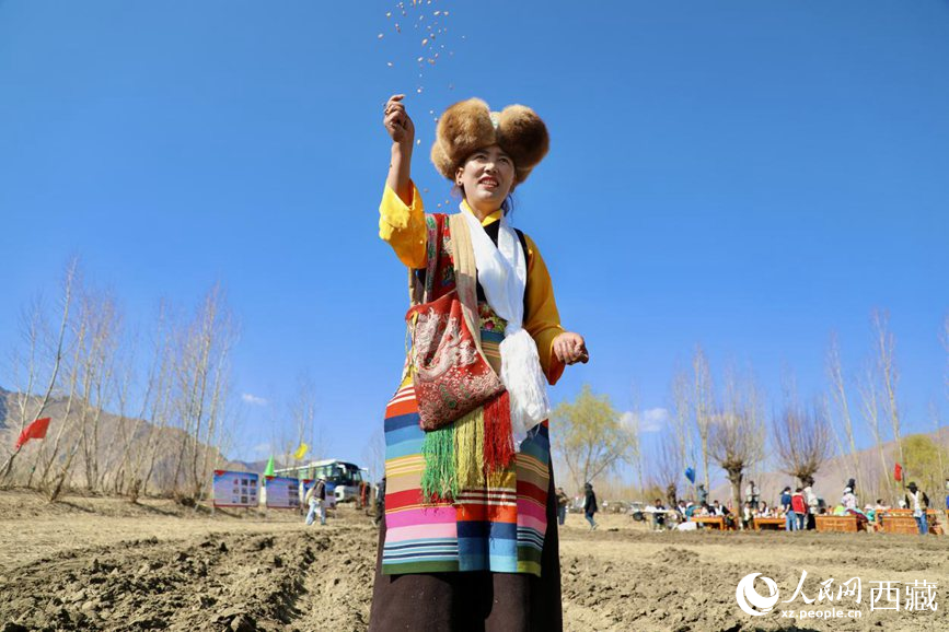 Farmers in SW China's Xizang hold grand ceremony to celebrate start of spring plowing