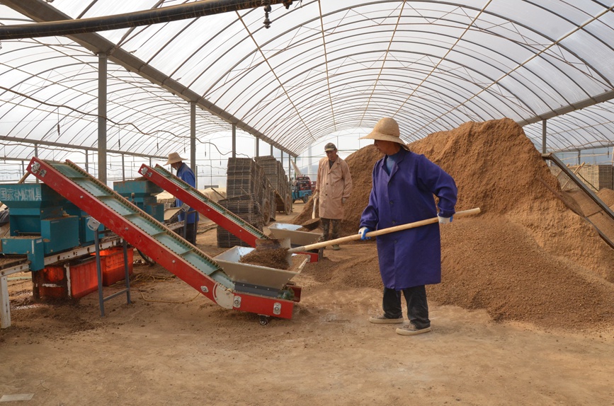 Farmers start spring plowing, seedling cultivation in Shangcheng, C China's Henan