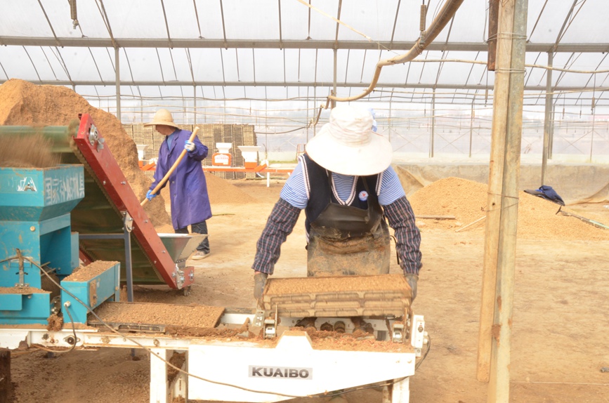 Farmers start spring plowing, seedling cultivation in Shangcheng, C China's Henan