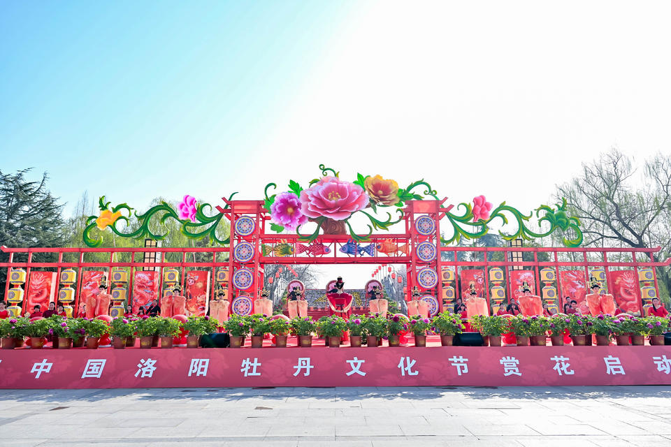 41st China Luoyang Peony Cultural Festival flower appreciation kicks off