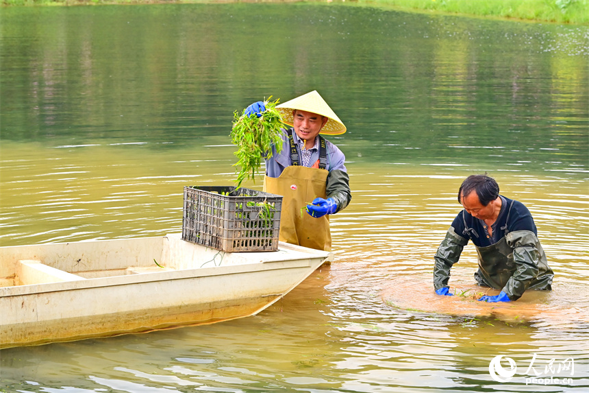 Chongren in E China's Jiangxi transforms natural endowments into economic benefits