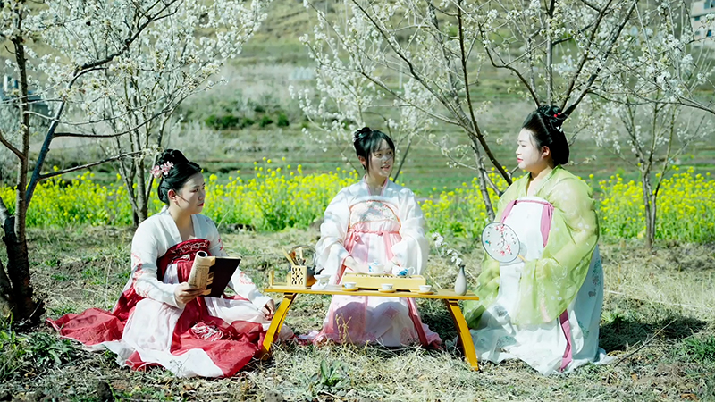 Romance of spring: Cherry blossoms meet beauty of traditional Chinese costume