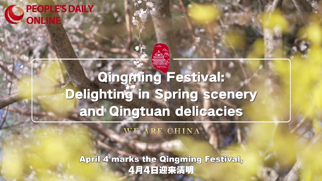 Qingming Festival: Delighting in Spring scenery and Qingtuan delicacies
