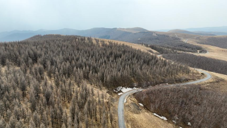 View of Daqingshan Nature Reserve in Inner Mongolia