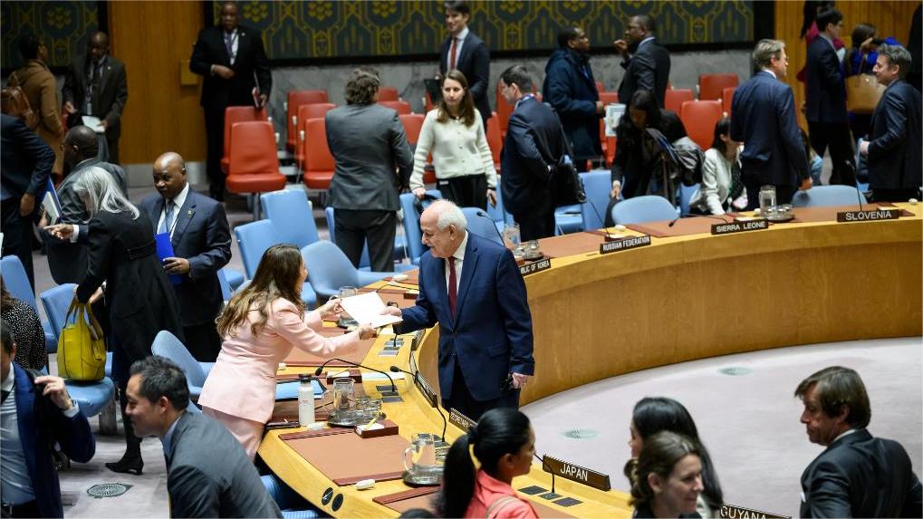 UN Security Council revisits Palestine's UN membership application