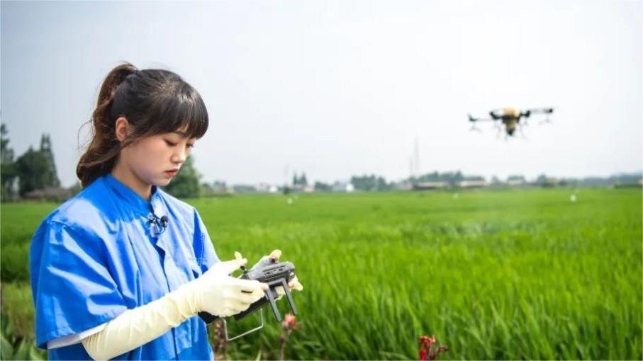 Smart farming blooms on Chengdu plain