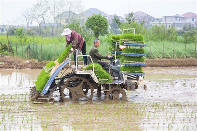 Innovative farming fuels efficiency for 'new farmers' in E China's Jiangxi