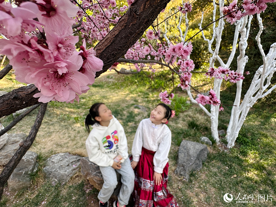 People savor beautiful sights of spring flowers across China