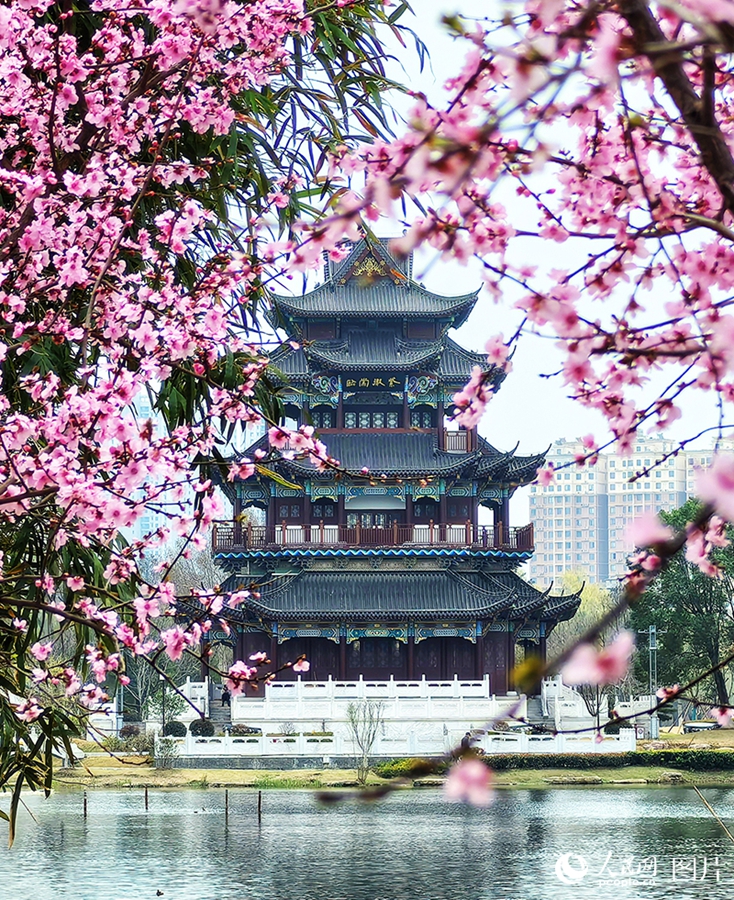 People savor beautiful sights of spring flowers across China