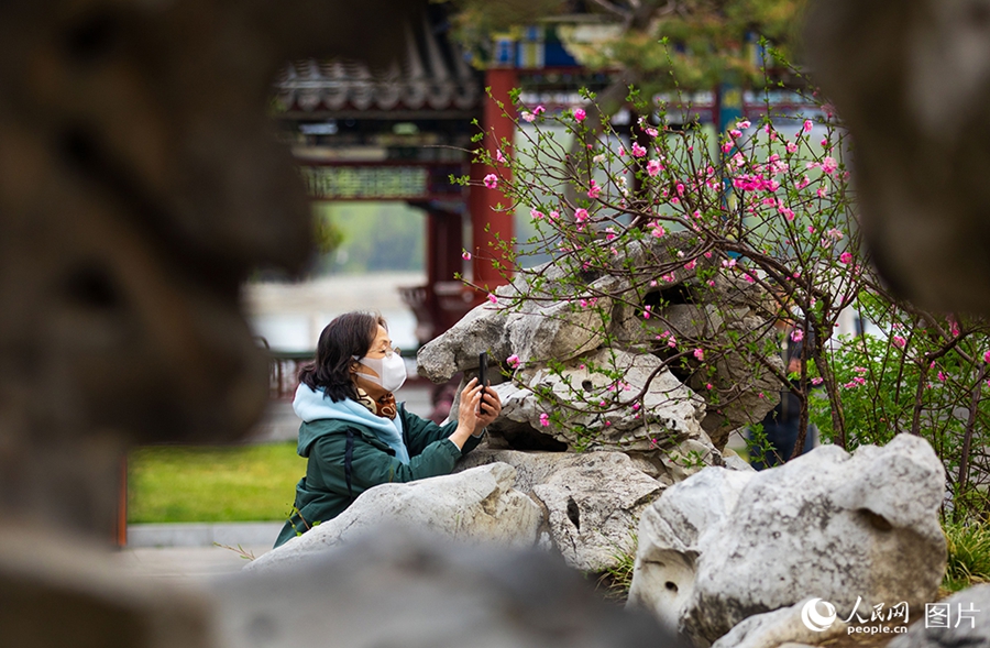 People savor beautiful sights of spring flowers across China