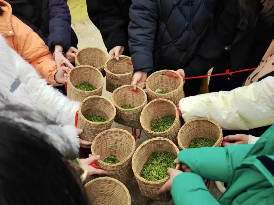 Meteorological services facilitate spring tea harvest across China