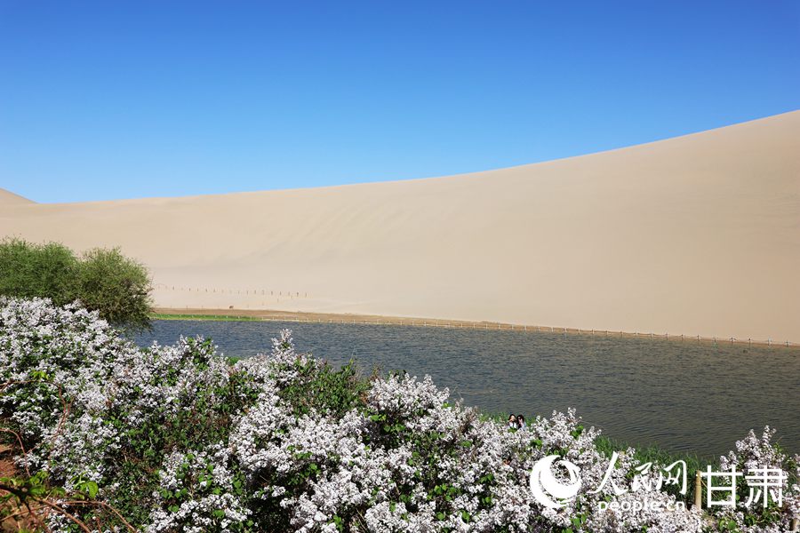 Spring scenery of NW China's Dunhuang delights visitors