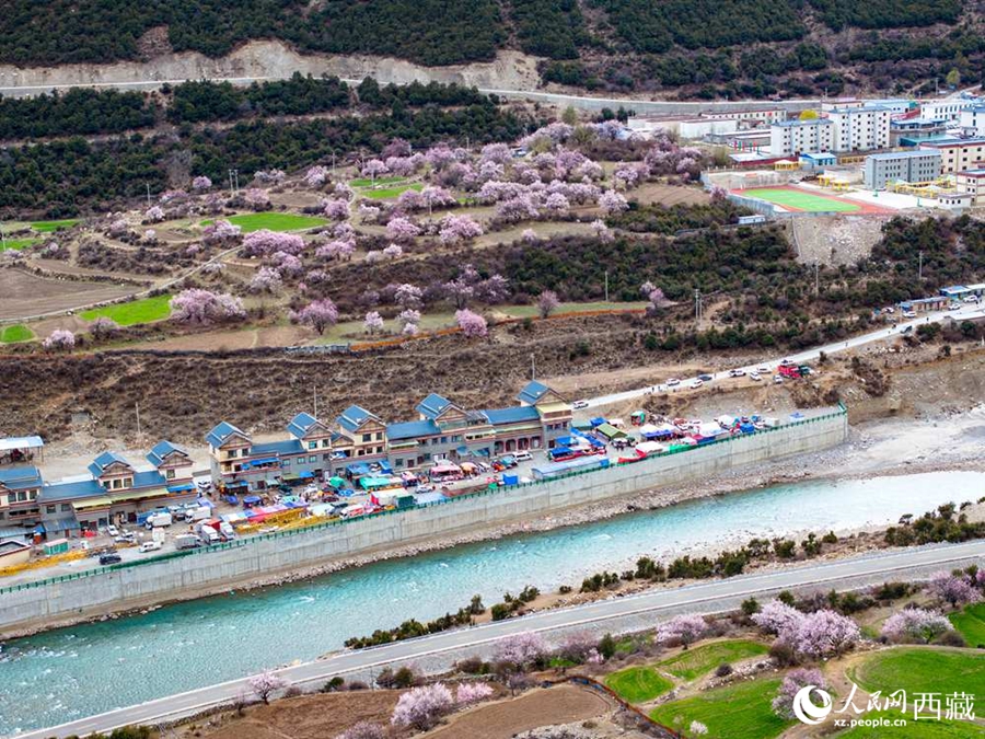 In pics: Blooming peach flowers in Lhari county, SW China's Xizang