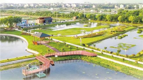 Eco-friendly crab breeding demonstration park in China's Suzhou realizes zero tailwater discharge