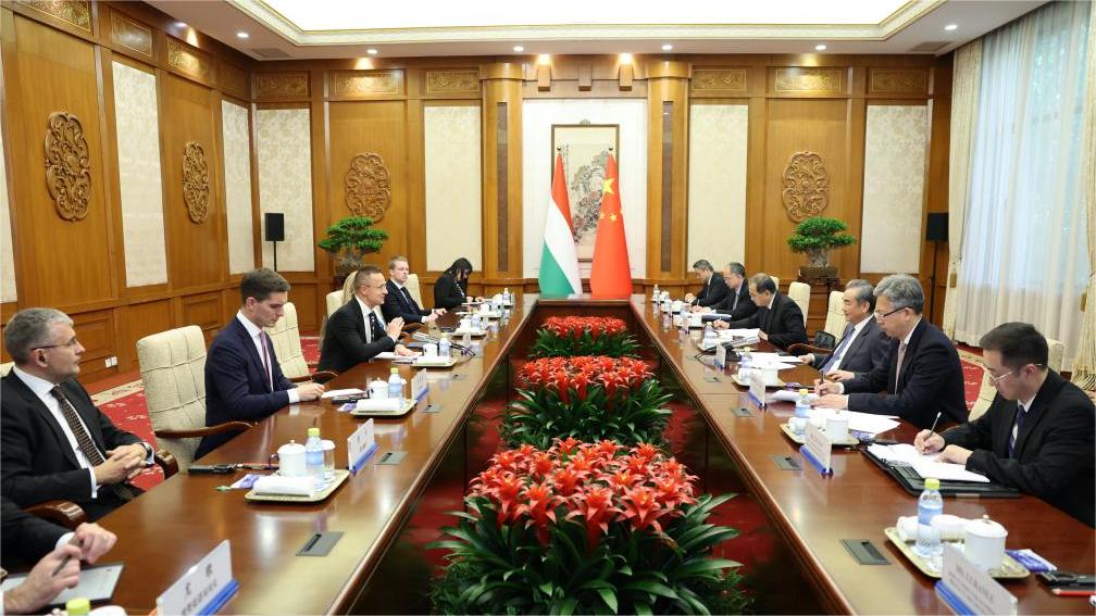 Chinese, Hungarian FMs hold talks on closer ties