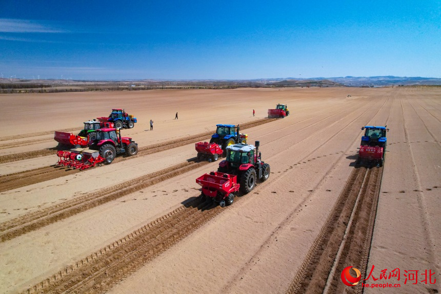 Farmers plant potatoes in N China's Hebei