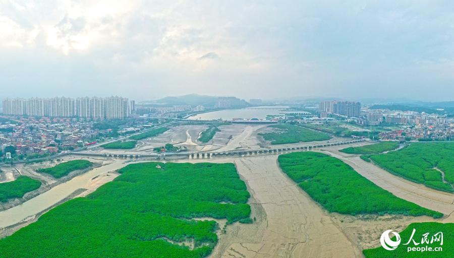 In pics: Explore ancient Luoyang Bridge in Quanzhou, SE China's Fujian