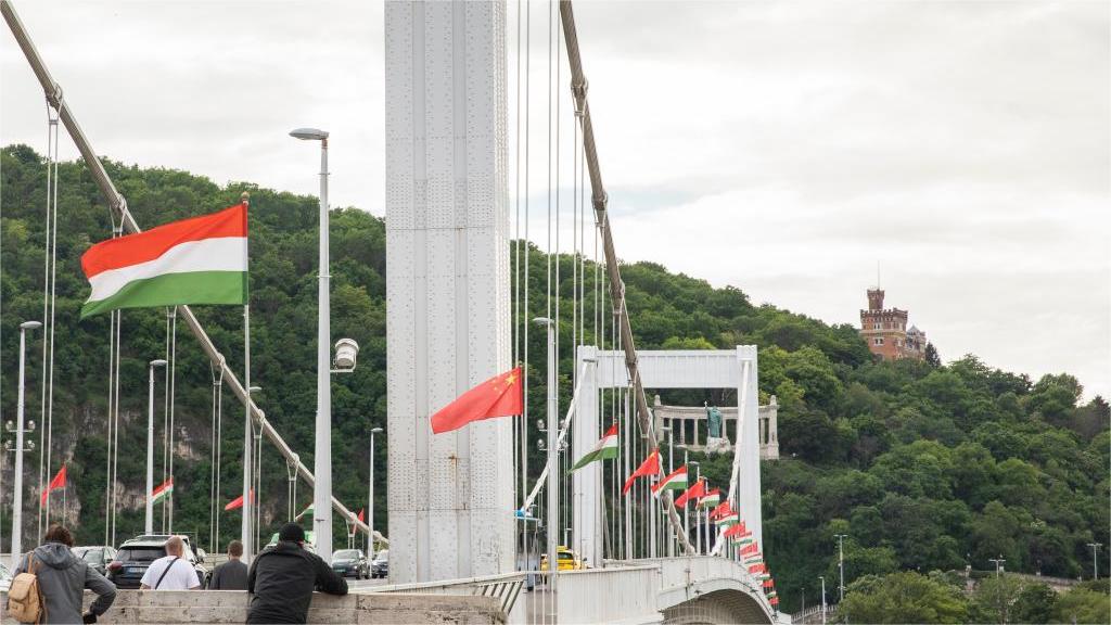 Xiangyu in Budapest | President Xi Jinping arrives in Hungary