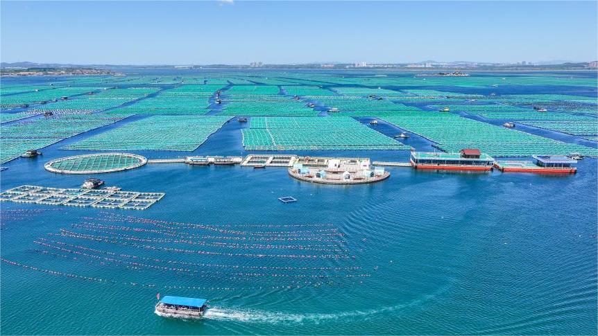 Marine ecological pasture complex gains development momentum in E China