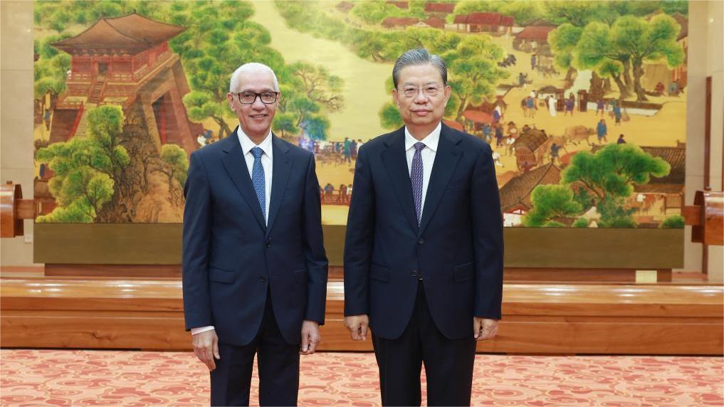 China's top legislator holds talks with speaker of Moroccan House of Representatives
