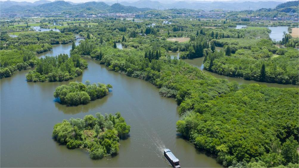 Zhejiang's national wetland park makes efforts to improve ecological environment