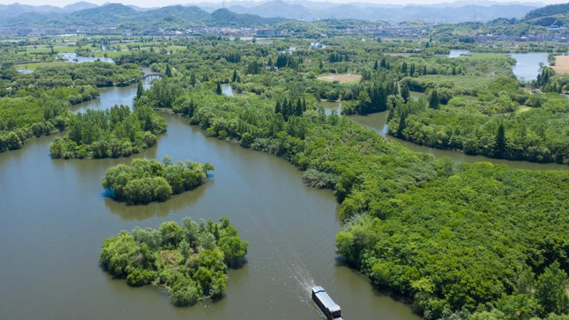 Zhejiang's national wetland park makes efforts to improve ecological environment