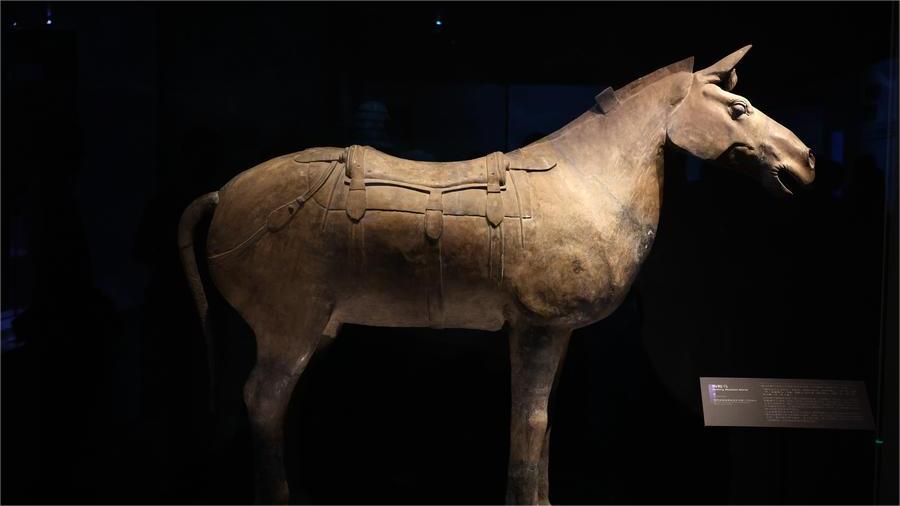 New museum on Qin, Han dynasties opens in China's Shaanxi