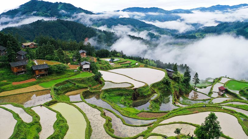 Aerial view of terrace in SW China's Guizhou